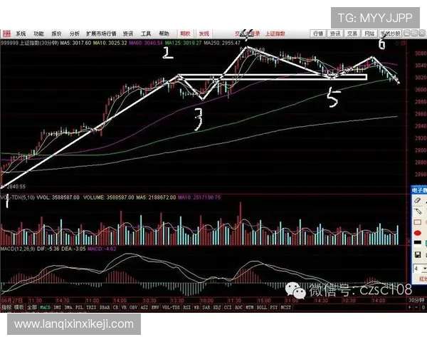 全面解析分分彩走势图的走势图类型与实用技巧推荐 全面解析分分彩走势图的走势图类型与实用技巧推荐